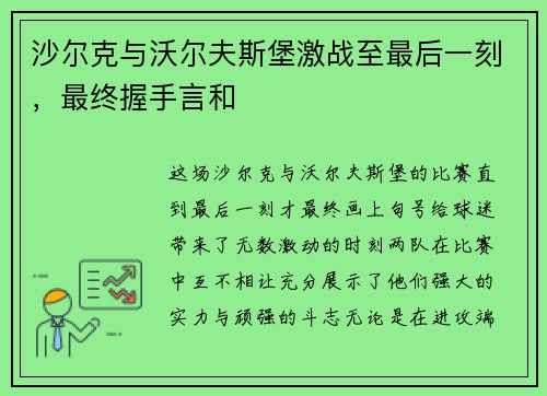 沙尔克与沃尔夫斯堡激战至最后一刻，最终握手言和