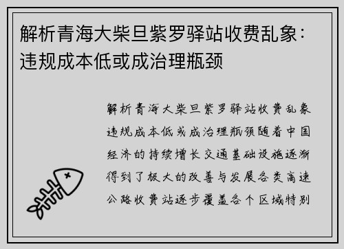 解析青海大柴旦紫罗驿站收费乱象：违规成本低或成治理瓶颈