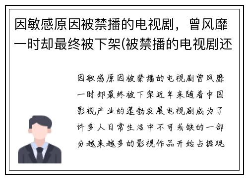 因敏感原因被禁播的电视剧，曾风靡一时却最终被下架(被禁播的电视剧还有版权吗)